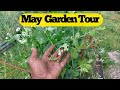 May garden tour  1 acre food forest  herb garden