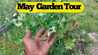 MAY GARDEN TOUR|  1 ACRE FOOD FOREST | HERB GARDEN