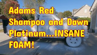 Combination of Adams Red Shampoo and Dawn Platinum|INSANE FOAM!