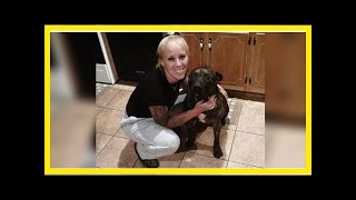Glen allen woman mauled to death by her dogs while out for a walk- Breaking News TNC -