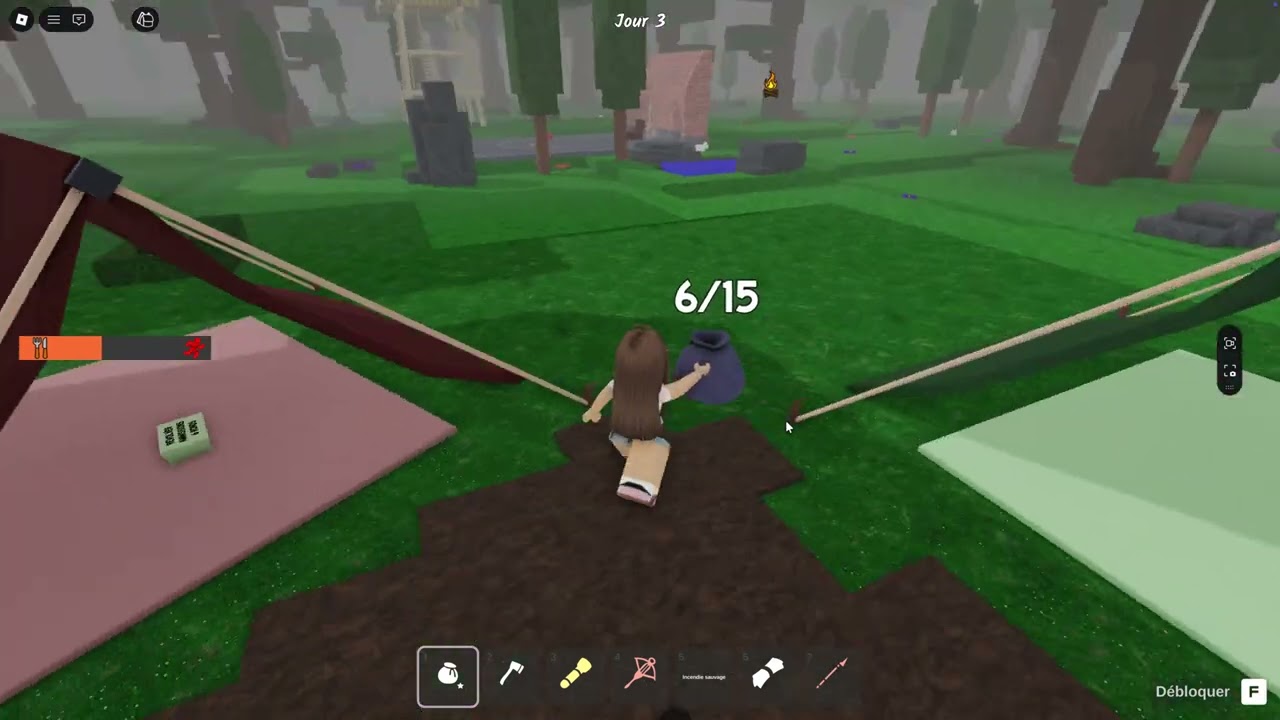 j'essaye de faire la mini biome (j'arrive pas)