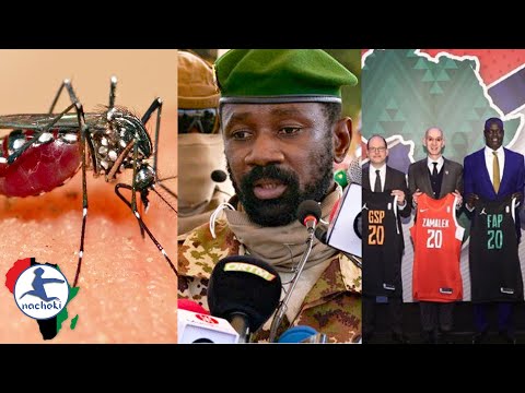 A Malaria-Free Africa, Mali Coup Leader Takes Power, Africa NBA Forms Partnership Worth Billions