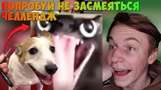 ПОПРОБУЙ НЕ ЗАСМЕЯТЬСЯ #ЧЕЛЕНДЖ#