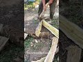The Perfect Cut! 🪵 Why Does This Wood Splitting Make Me So Happy? 😂 #woodchopping #ASMR