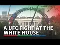 Trump builds giant stage at White House for birthday cage fight | ABS-CBN News