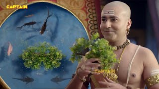 पंडित रामा कृष्ण ने मछली को कैसे चढ़ाया वृक्ष पर ? - तेनाली रामा - EP. 734, 735, 736, 737