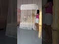 Princess-Style U-Shaped Track Mosquito Net | High-End Sophisticated Beauty#shorts #mosquitonets