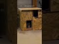 ❤️ МУСУЛЬМАНИН построил домик для замерших КОТЯТ