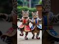 chameli biralo#short