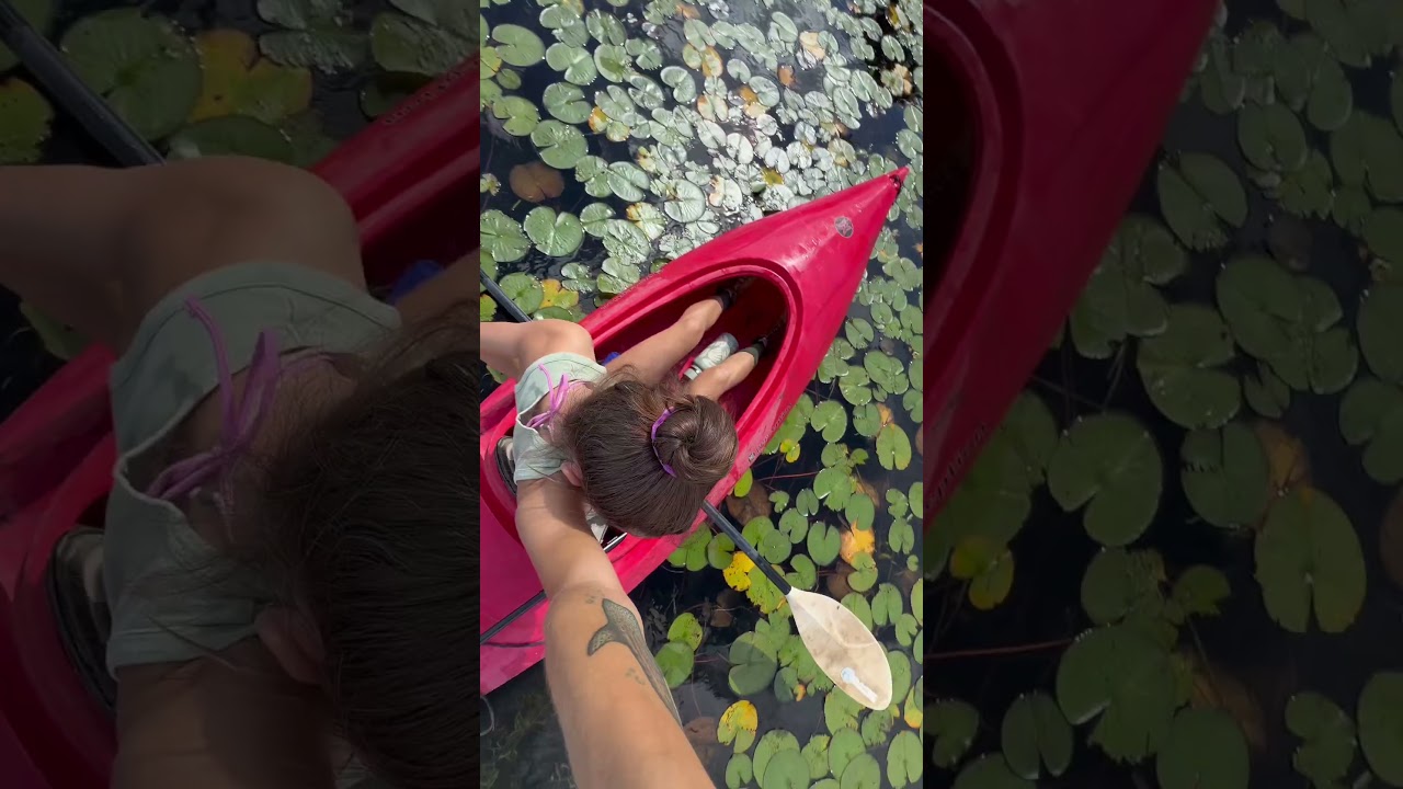 #fyp #kayak #september #viral #insta360