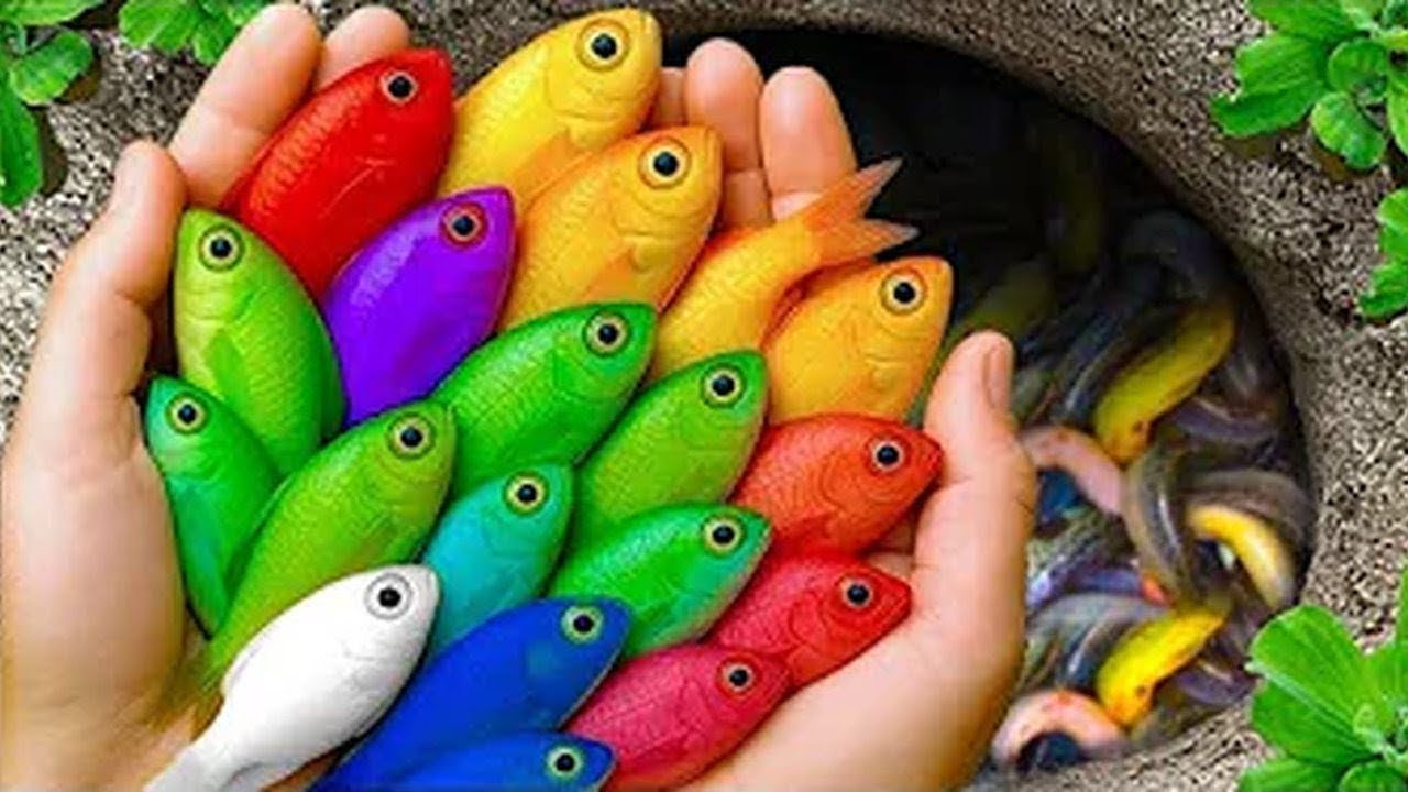 RARE Fish Alert! What's REALLY Swimming in Your Backyard Pond? 🐠🌈