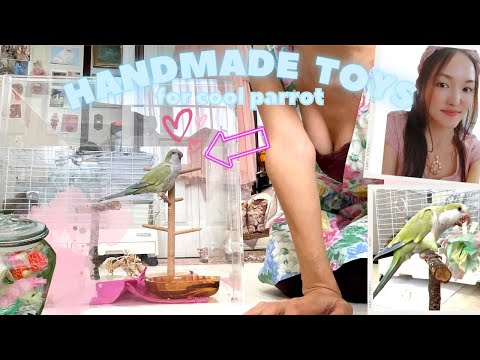 Making hand made Parrot Toys with Bunnies and a parrot🦜🐰🐰インコのおもちゃ作り(インコとうさぎ達と)