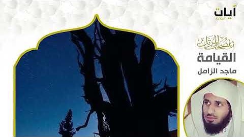 ما تيسر من سورة القيامة - ماجد الزامل