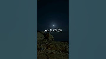 اكتب شيء تؤجر عليه ❤️😴 / القارئ ياسر الدوسري | قران كريم