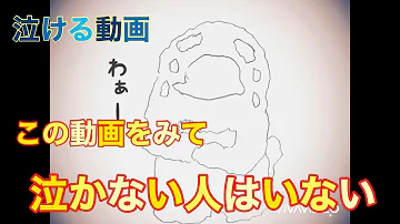 絶対に泣ける歌 絶対に泣ける歌