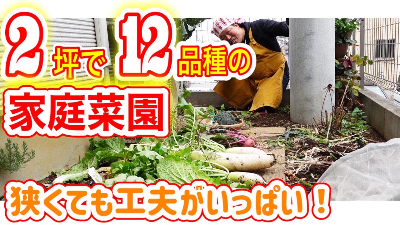 家庭菜園 食費公開】家庭菜園は節約にならない？経験者が語るコスパが悪い4つの