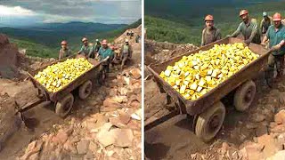 The Oak Island Search Is Over They Finally Found The Treasure!