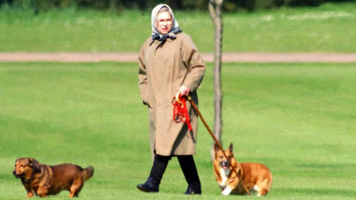 What Will Happen to Queen Elizabeth IIs Royal Pups?