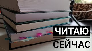 Архив Дрездена и ужастики: Что я читаю прямо сейчас