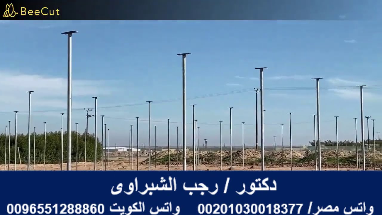 تكلفة ومواصفات البيت المحمى .. وأيهما أفضل البيوت المجمعة أم الفردية والمنخفضة أم المرتفعة .