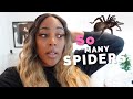 THERE WERE SPIDERS EVERYWHERE! | EMERGENCY VET VISIT | BUYING NEW SHADES |  #vlog
