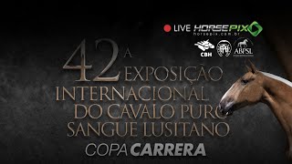 42ª Exposição Internacional do Cavalo Lusitano  ABPSL  Horsepix