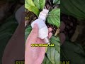 lampu led kecil tapi terang maksimal #lampuhemat #lampuled #lampuawet