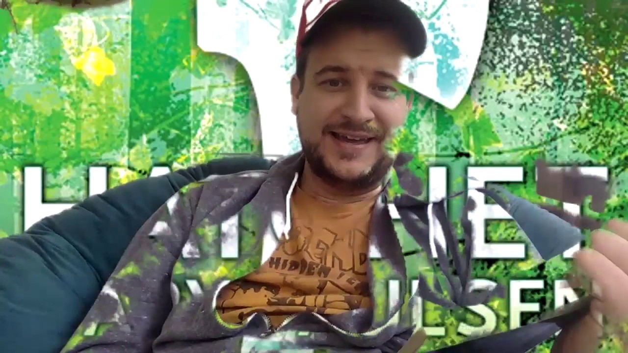 Hatchet Read aloud 14 & 15 - YouTube