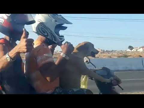 CERTO PELO CERTO-clip