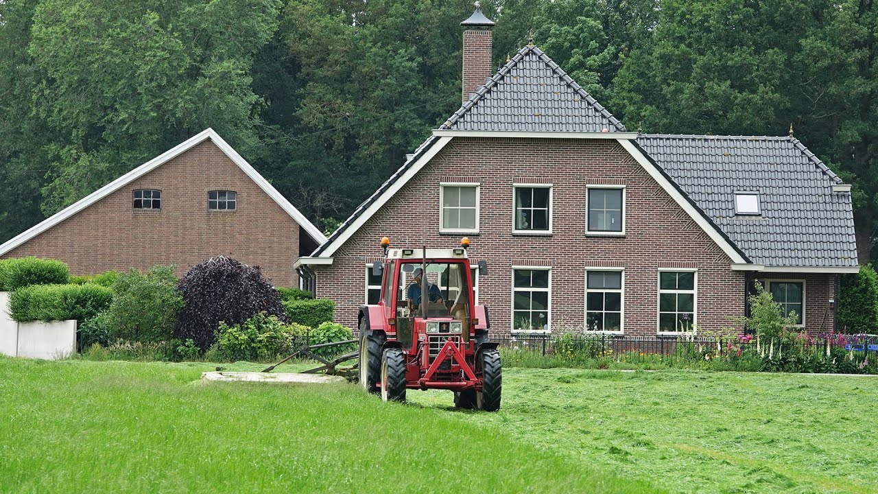 Mowing Grass | Case International 845 XL + Vicon | 2022