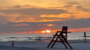 A Sage Brain Summer (2022)