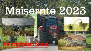 Riesen Maishäckseln Im Allgäu Mit Fendt 826 820 936 724 , Massey Ferguson 7726S, Steyr 6180 Cvt