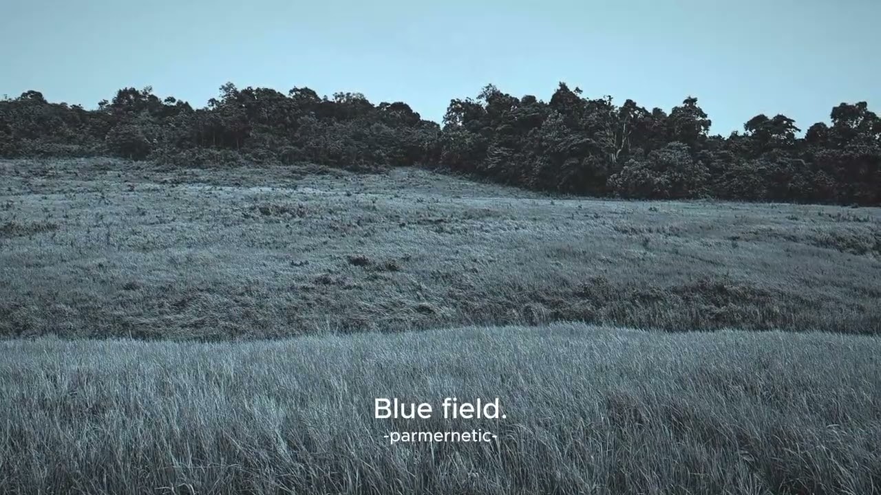 Blue field : chill synth electronic folk rock instrumental music 