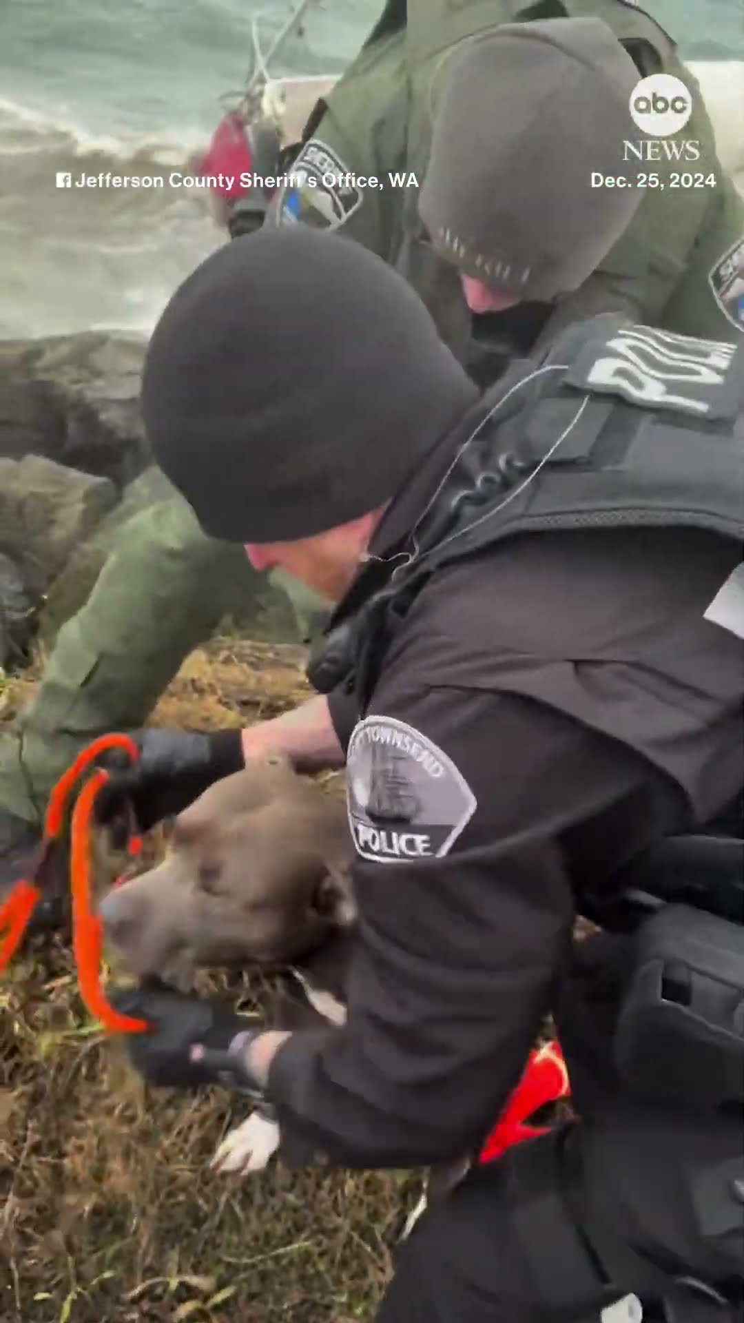 Man and dog rescued from rough waters