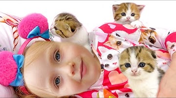 Fairy Maschka Learns How To Foster a Kittens