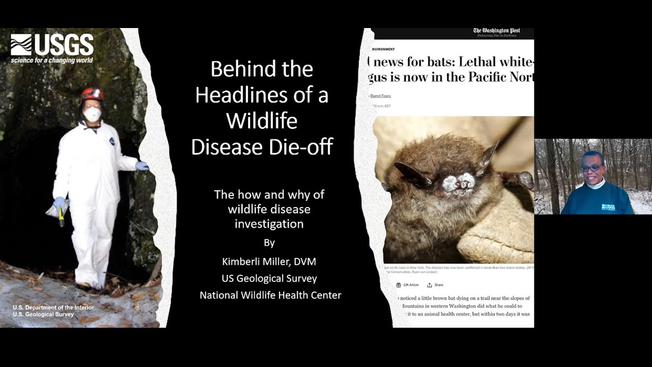 PubTalk-02/2023: Behind the Headlines of a Wildlife Disease Die-off