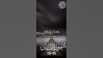 تلاوة مرئية خاشعة تلامس القلب من القارئ اليمني محمد المسهري ماتيسر من سورة لقمان إمام جامع زايد عدن