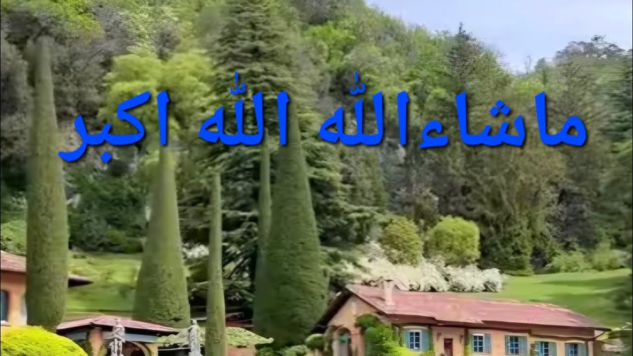 phuphi italy wali 🇮🇹 is live it's time to gupshup with Phuphi italy wali