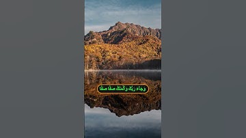 "تلاوة هادئة تريح القلب وتدمع لها العين | بصوت نادر يخترق أعماقك 🎧💔"