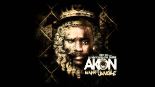 Akon ft. Fabulous & Money J - Salute 100 Ya'll nihrZ42o [HD]