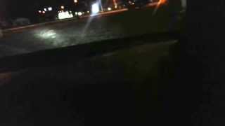 Black Bear in Wisconsin Rapids