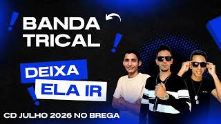 CD BANDA TRICAL JULHO 2026 ( Brega e Forró )