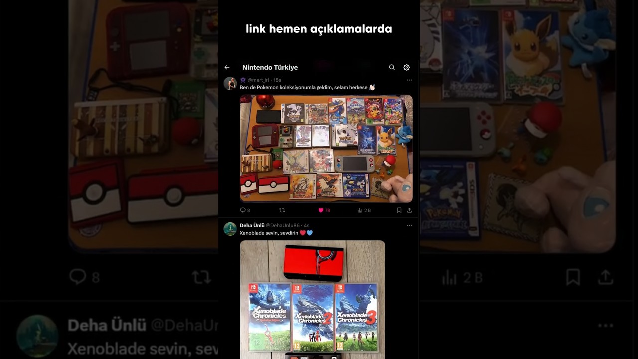 Nintendo Türkiye Topluluğu KURULDU!