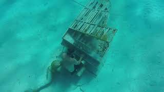 The Musician- underwater statue near Rudder Cut Cay Bahamas