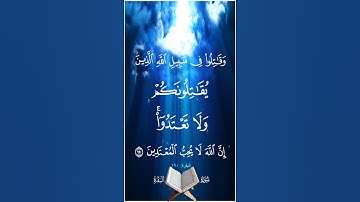 وقاتلوا في سبيل الله الذين يقاتلونكم ولا تعتدوا ۞ سورة البقرة ۞ المنشاوي