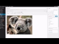 WordPress - Replacing a Photo