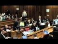 Roux questions similarities witness couple's