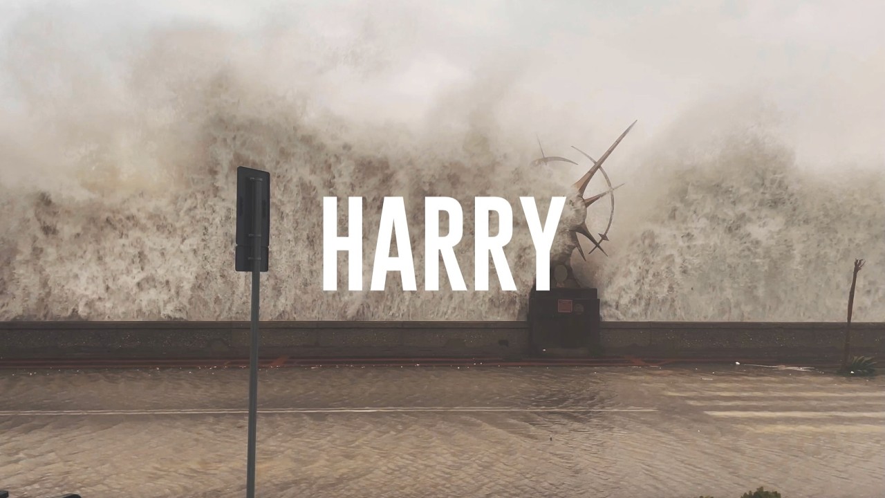 HARRY