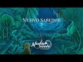 Nicolas Losada - Nativo Sabedor (Visualizer) | Música medicina