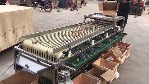 QY-01 peach plum grading sorting machine,apricot and fruit grader sorter